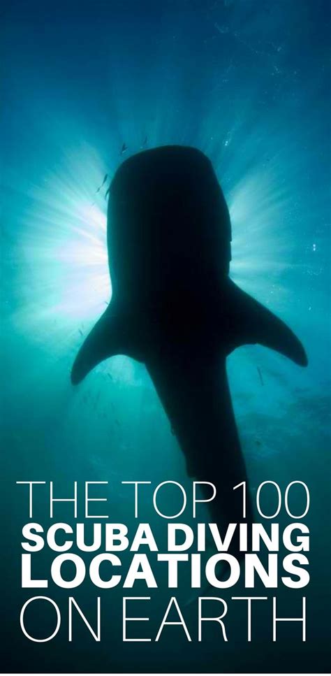 Come for the coral blooms, stay for the reef sharks and rays that populate the region known as the zoo. Best Scuba Diving in the World: Top 100 | Magnificent ...