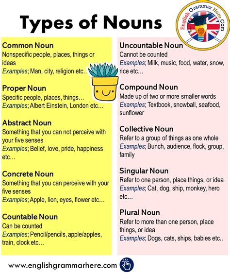 What Is Noun Clause In Grammar Nouns Types Of Nouns With Definition Rules Useful