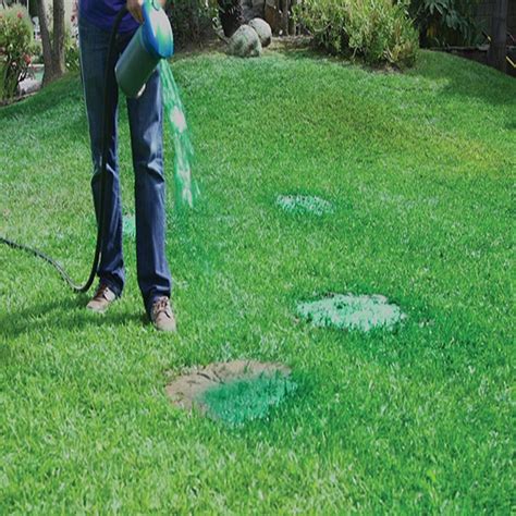 Hydroseeding is a solution that's used for areas that are considered to be problematic. Hydro Grass Seed Sprayer - Beauty News