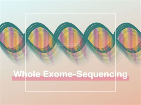 What Is Whole Exome Sequencing Genetic Education
