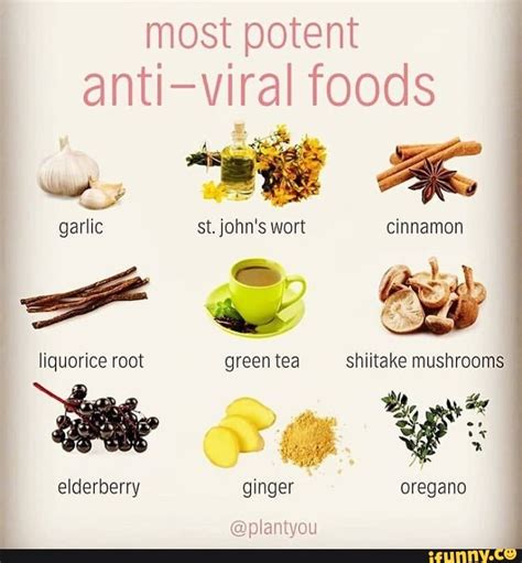 The oldest antiviral medication for herpes is acyclovir. Most potent anti-viral foods liquorice root elderberry ...
