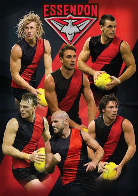 The essendon football club, nicknamed the bombers or colloquially the dons, is a professional australian rules football club which plays in the australian football league (afl). Essendon Football Club AFL By Ross McRae Design | Essendon ...