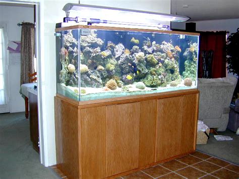 Perfecto glass hinged canopy old rectangular aquariums 125/150 tanks. 225 Glass Reef Tank, Aquarium Design, Marine Aquariums and ...