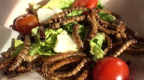 Anstatt sich für die chips mit tierischem inhalt zu entschuldigen, boten ihr die. Insekten essen! - Let's Eat Insekten - YouTube