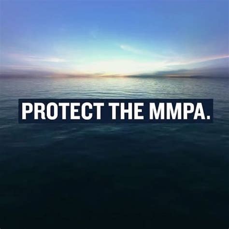 Thanks To The Marine Mammal Protection Act Not A Single Marine Mammal