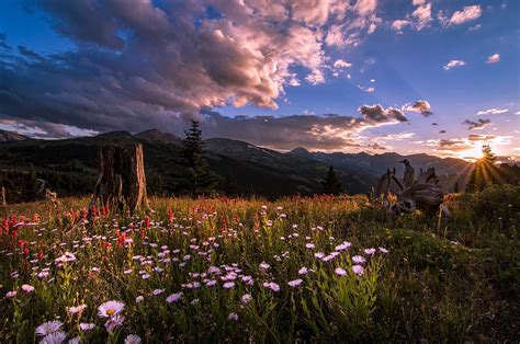 Rocky Mountain Summer Sunset Photograph By Michael J Bauer Photography