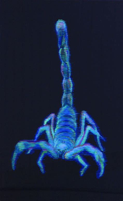 Neon Scorpion Stefania Pinsone