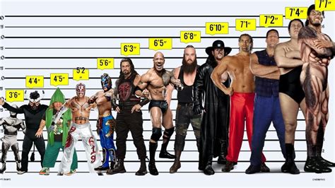 Wwe Wrestlers Height Comparison From Shortest To Tallest Youtube