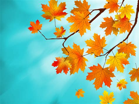Download Yellow Fall Artistic Leaf Hd Wallpaper
