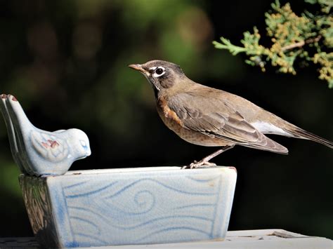 11/04/2022 November: Preparing for Winter