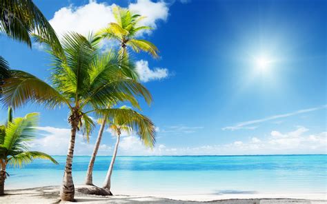 Free Download Tropical Beach Paradise 4k Hd Desktop Wallpaper For 4k
