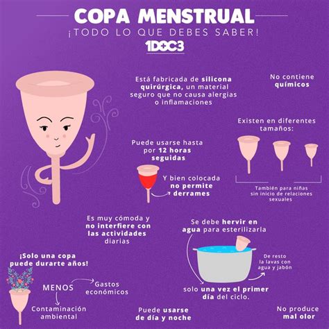Todo Lo Que Debes Saber Sobre La Copa Menstrual Copa Menstrual Salud