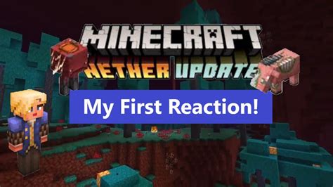 Please note that the release of minecraft pe 1.17 will be presented to the minecraft community next. Exploring the Nether Update for the First Time ...