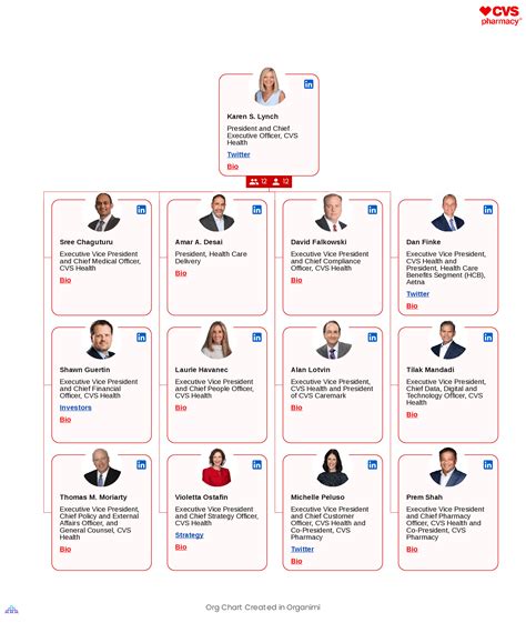 CVS Health's Organizational Structure [Interactive Chart] Organimi