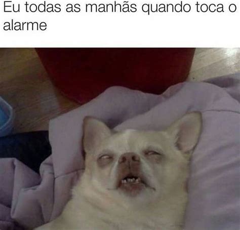 Titulo Ta Dormindo Meme By GuilhermeGil Memedroid