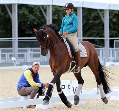 Aesthetics is a branch of philosophy that deals with the nature of beauty and taste, as well as the philosophy limit my search to r/aesthetic. Aesthetic Equestrian
