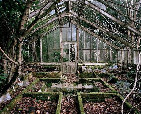 Hidden In The Overgrown Grounds Of A Derelict Victorian Manor Sussex