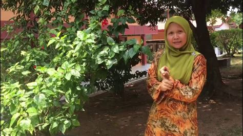 Context sentences for pembiakan in english. CARA PEMBIAKAN TUMBUHAN (TAHUN 3) - YouTube