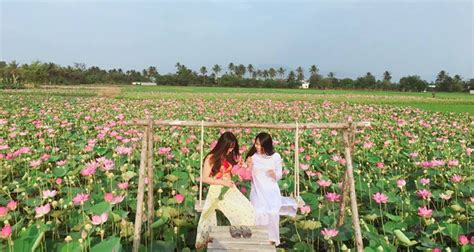 Check spelling or type a new query. Đồng Tháp có gì chơi? 5+ điểm du lịch "đẹp đứng hình" tại ...