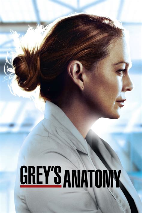 Assistir Greys Anatomy Online Todas Temporadas Dublado E Legendado