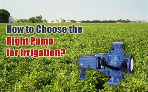 How To Choose The Right Irrigation Pump A Step By Step Guide