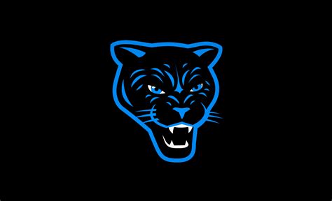 Daydream Rebrand Carolina Panthers Hidden History — The Design Office