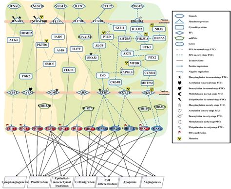 The Core Signaling Pathways Are Obtained By Projecting Core GENs To Download Scientific Diagram