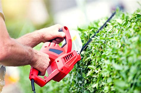 Hedge Trimmer Stock Photos Pictures And Royalty Free Images Istock