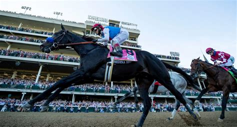 Meet The Contenders For The 2021 Longines Breeders Cup Classic