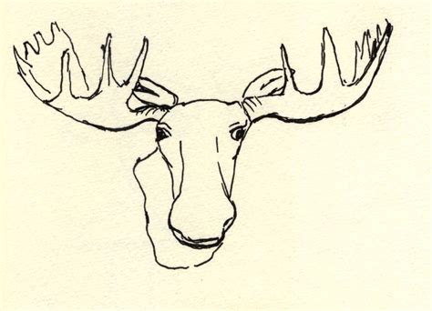 Moose Head Drawing At Getdrawings Free Download