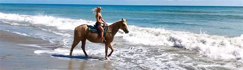 Horseback Riding On The Beach St Lucie County Fl