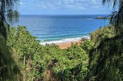 Hawaii S Secret Market Craigslist Oahu S Undiscovered Collectible Gems