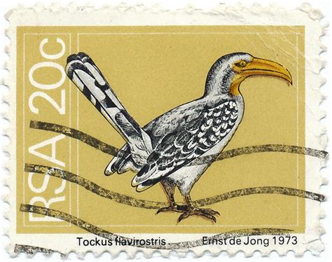1973 South African Stamp Hornbill Stamp Africa Southern Africa