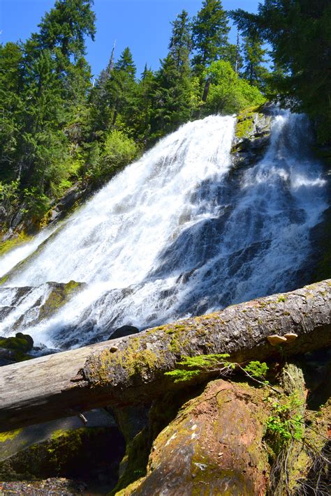 Diamond Creek Falls Hiking In Oregon