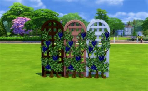 Get Fruity Vines Of Prosperity By Snowhaze At Mod The Sims Sims 4 Updates