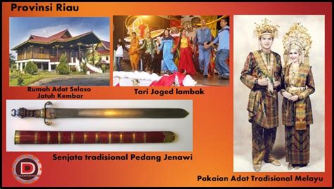 Pakaian adat riau pun demikian, selain juga mencerminkan pemikiran masyarakatnya. 34 Nama Pakaian adat, Tarian Adat, Rumah Adat dan senjata ...