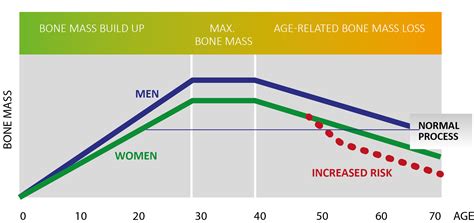 Bone Mineral Density Marodyne Liv