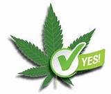 Photos of Legalize Marijuana Michigan Petition