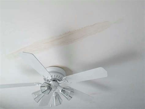 Even belongings like photos, books and important papers are at risk. Roof Leaks and Category 3 Water Damage