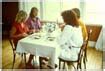 A wide variety of abba costumes options are available to you, such as supply type, material, and product type. ABBA Plaza - galleries - abba costumes - animal shirts