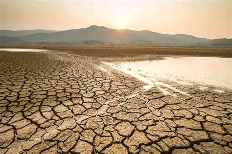 The Damage Dealt by Droughts | Defenders of Wildlife