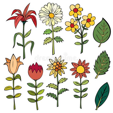 Various Summer Flowers Stock Vector Illustration Of Romance 50392396