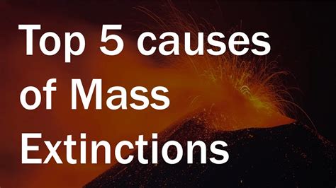 top 5 causes of mass extinctions youtube