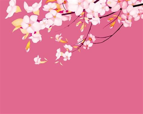 18 Sakura Flower Anime Wallpaper Orochi Wallpaper