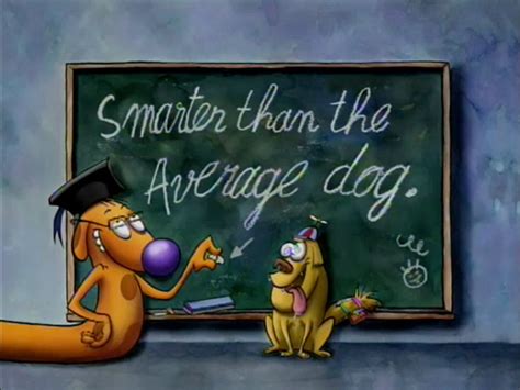 Smarter Than The Average Dog Catdog Wiki Fandom