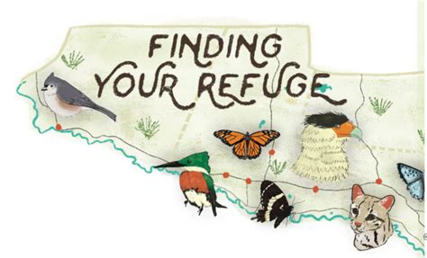 Finding Your Refuge Rgvision Magazine