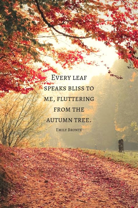 Good Words To Describe Autumn Leaves