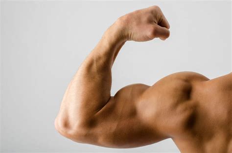 Name a muscle that can both flex and extend the arm. How to Build Muscle Mass Fast (Simple Workouts for Rapid ...