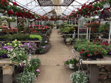 Madison Avenue Greenhouse Looks Back At A Century In Painesville