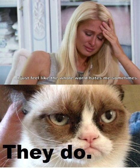 Grumpy Cat Part 2 Funny Grumpy Cat Memes